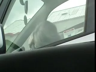 Strapon 써니 리온 ka 힌디어 젊은 bf 수영장 근처 깜박임